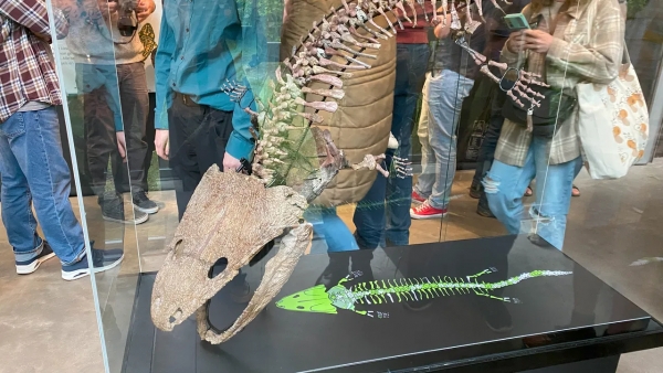 220 miljoen jaar (!) oud skelet volledig te zien bij het Oertijdmuseum