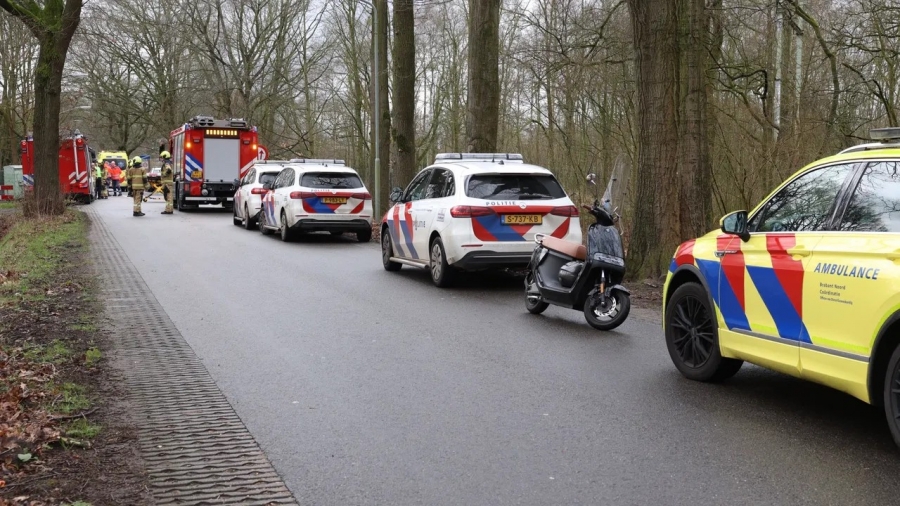 Geen treinen tussen Den Bosch en Boxtel door aanrijding op het spoor