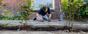 Toet toet toet hier komt de Groenstoet!